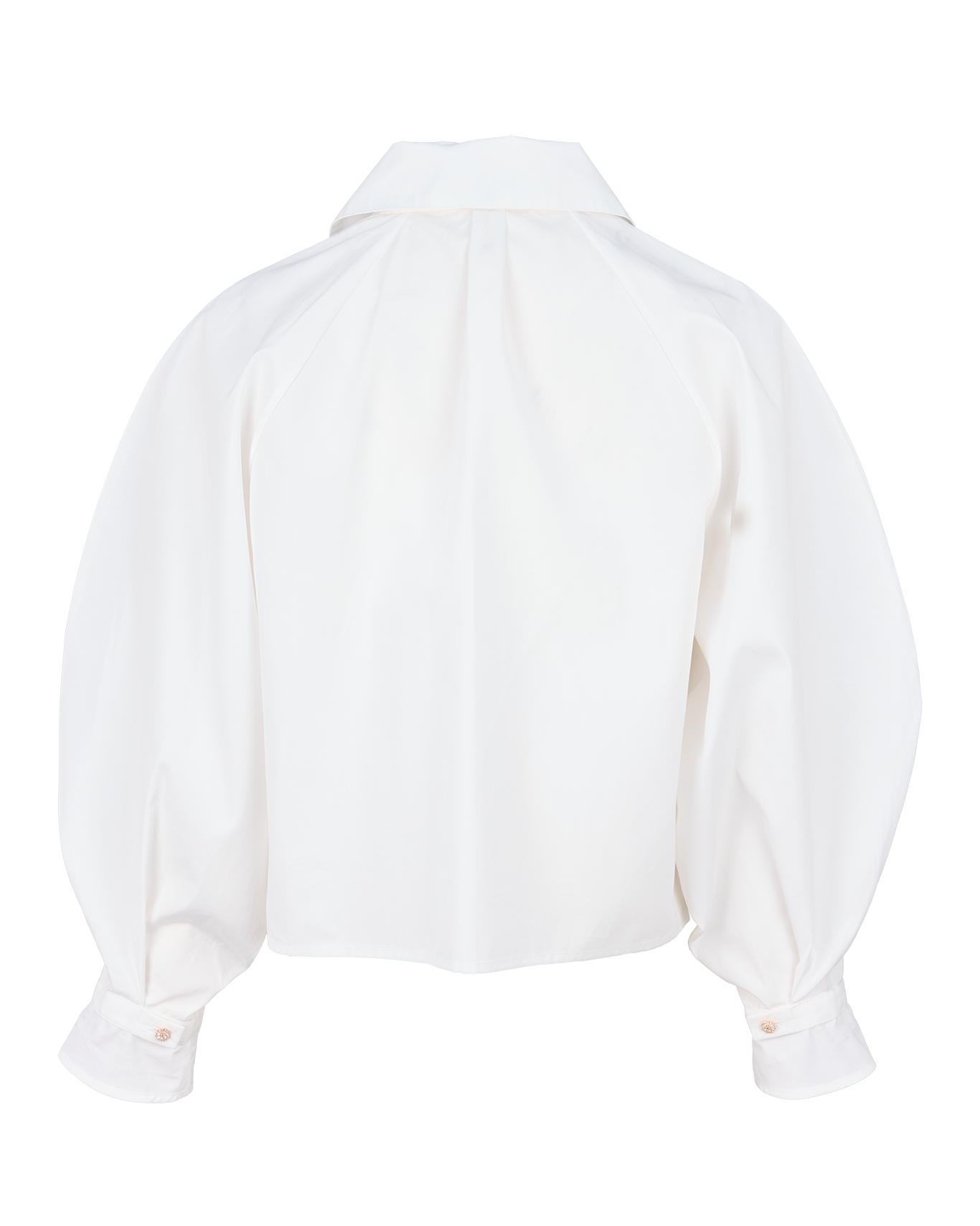 Chemise Intemporelle