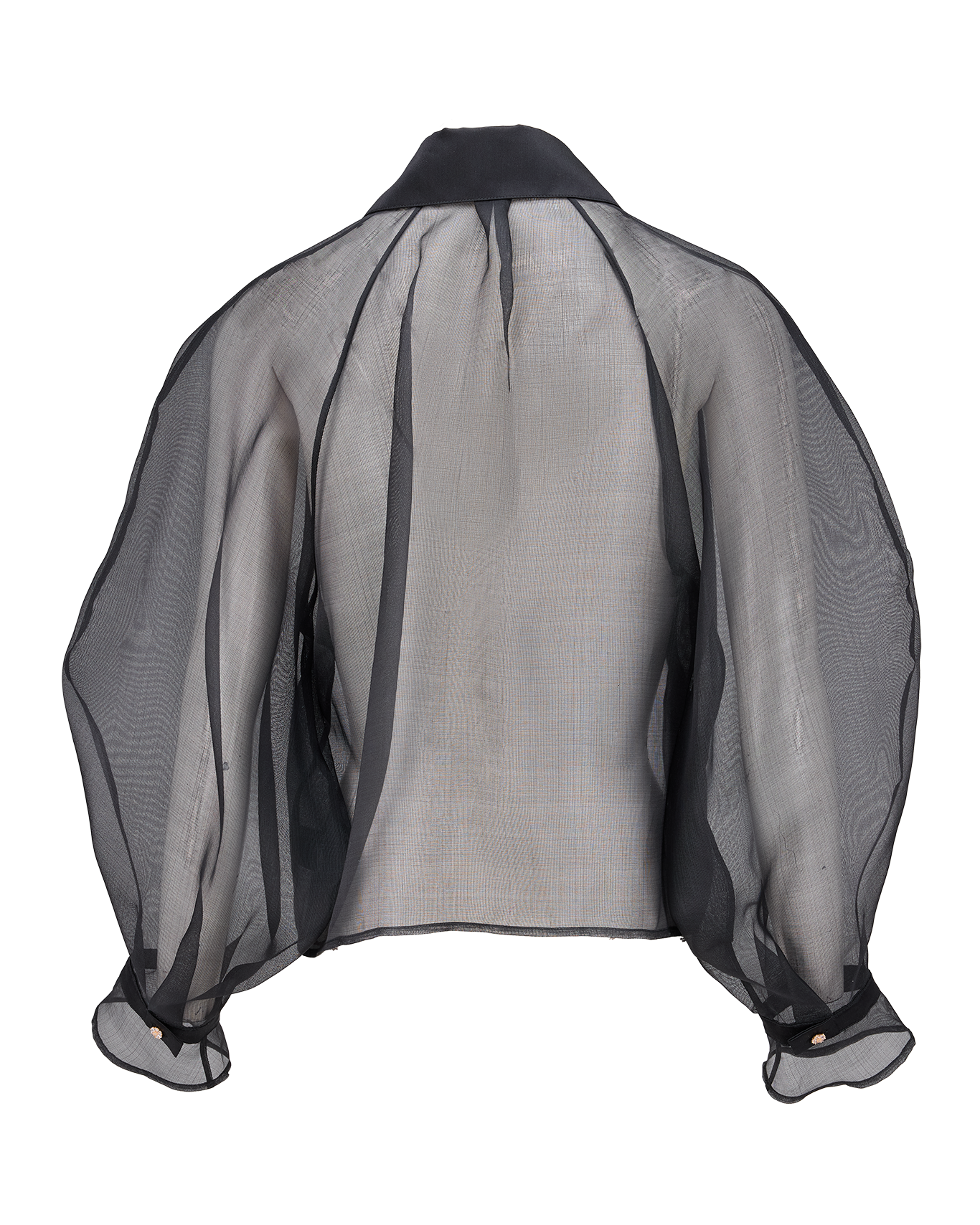 Diaphanous Shirt